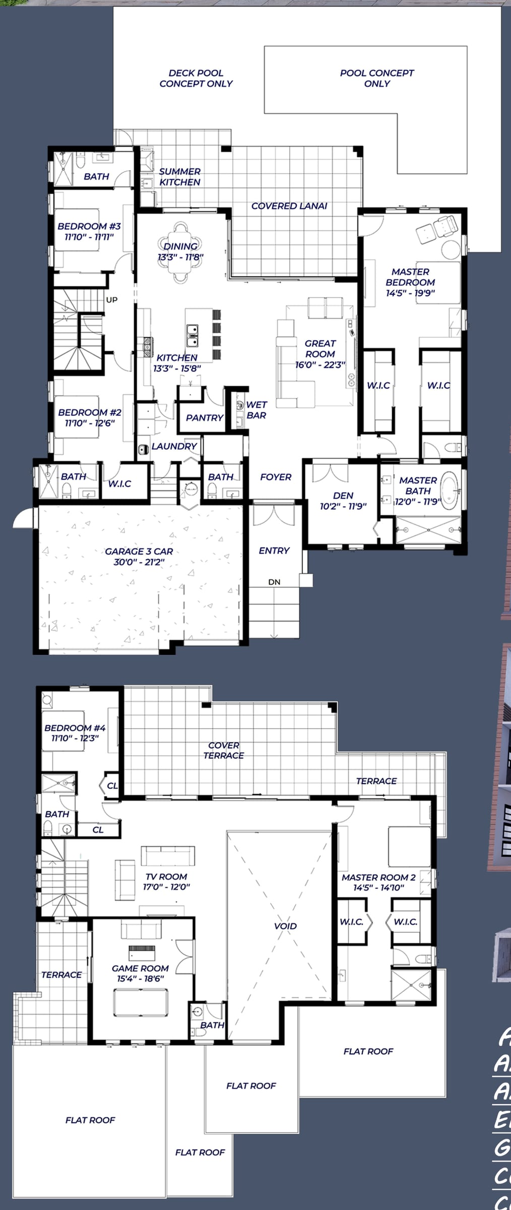 Nerites 2D floor plan with dimensions